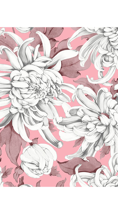 Aster Dress Shirt Collar 3/4 Sleeve Midi Plus Length Cotton Musola (Chrysanthemum Flower Big)