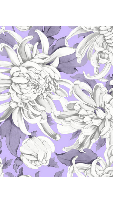 Aster Dress Shirt Collar 3/4 Sleeve Midi Plus Length Cotton Musola (Chrysanthemum Flower Big)