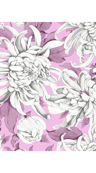 Aster Dress Shirt Collar 3/4 Sleeve Midi Plus Length Cotton Musola (Chrysanthemum Flower Big)
