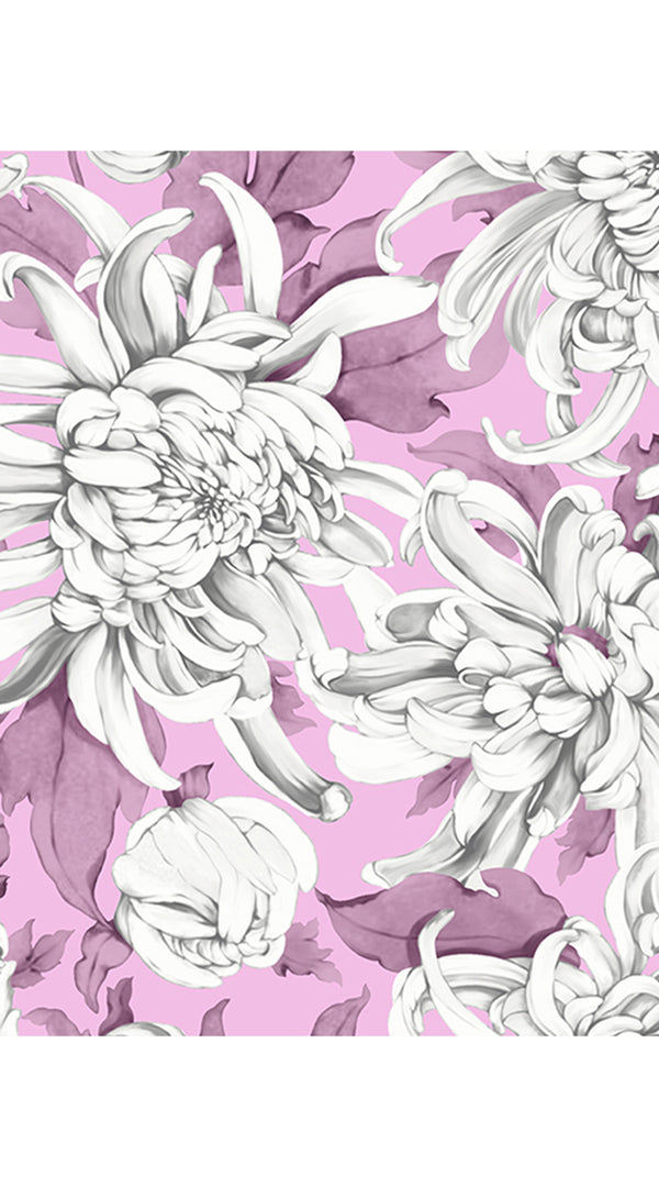 Aster Dress Shirt Collar 3/4 Sleeve Midi Plus Length Cotton Musola (Chrysanthemum Flower Big)