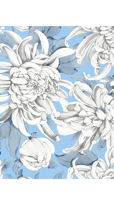 Aster Dress Shirt Collar 3/4 Sleeve Midi Plus Length Cotton Musola (Chrysanthemum Flower Big)