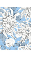 Aster Dress Shirt Collar 3/4 Sleeve Midi Plus Length Cotton Musola (Chrysanthemum Flower Big)