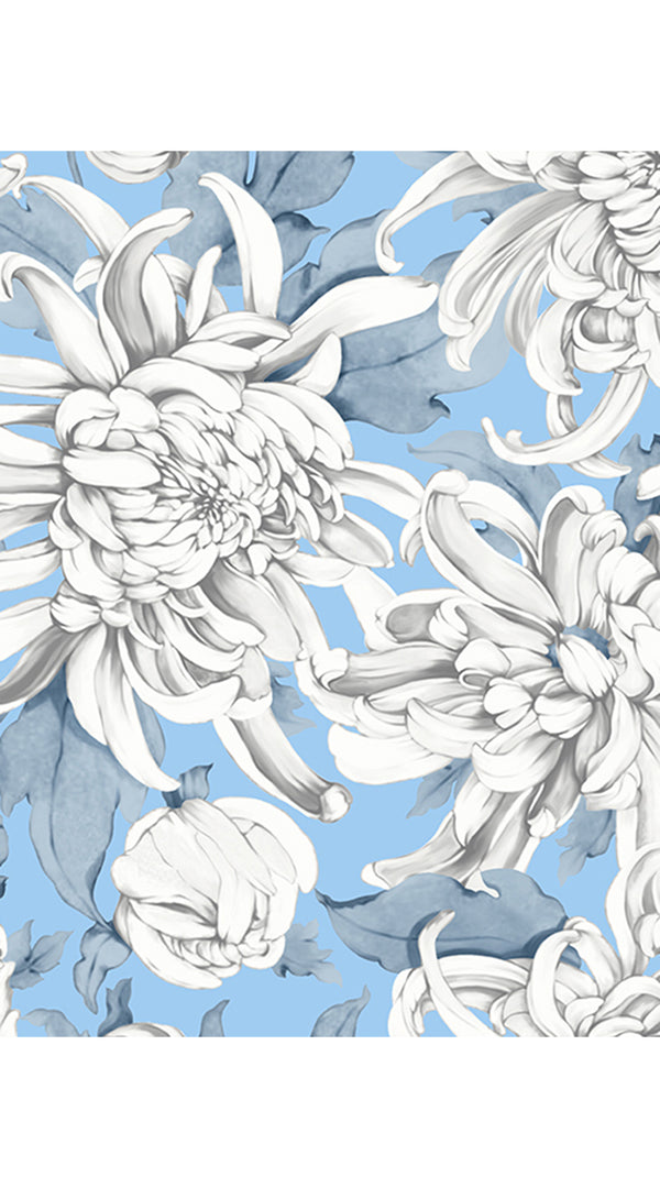 Aster Dress Shirt Collar 3/4 Sleeve Midi Plus Length Cotton Musola (Chrysanthemum Flower Big)