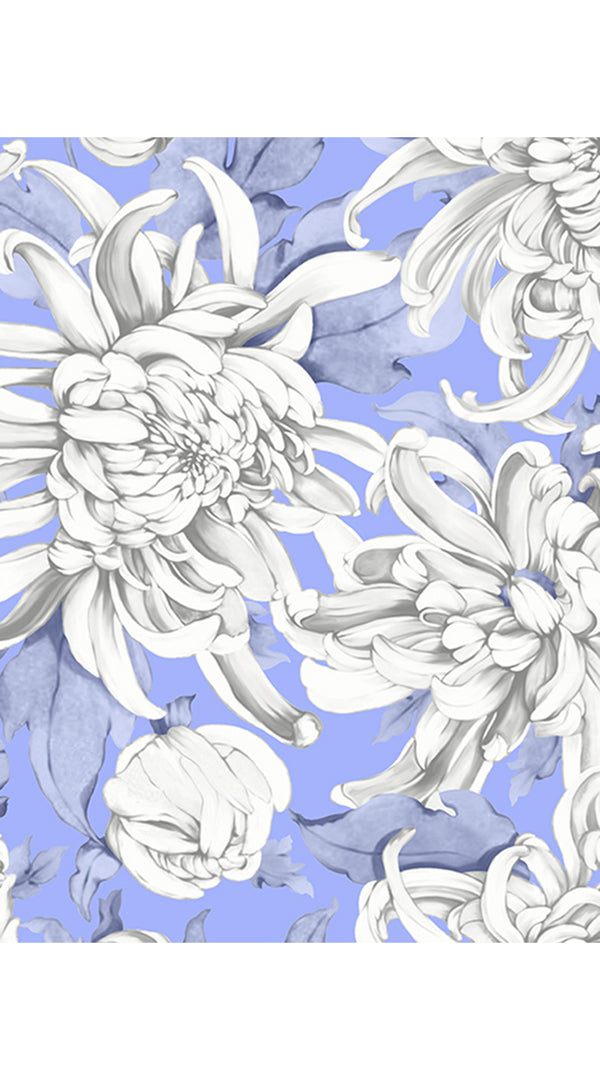 Aster Dress Shirt Collar 3/4 Sleeve Midi Plus Length Cotton Musola (Chrysanthemum Flower Big)