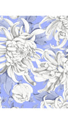 Audrey Dress #1 Shirt Collar 3/4 Sleeve Long Length Cotton Stretch (Chrysanthemum Flower Big)