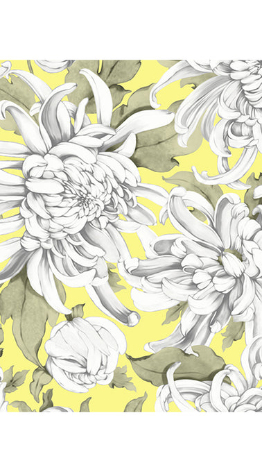 Aster Dress Shirt Collar 3/4 Sleeve Midi Plus Length Cotton Musola (Chrysanthemum Flower Big)