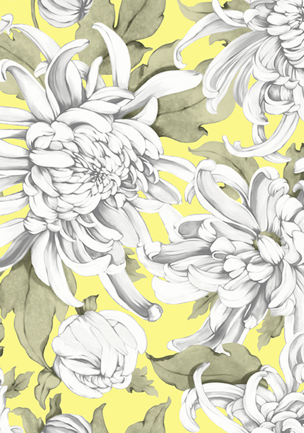 Chrysanthemum Flower Big_Soft Yellow_Cotton Musola_20y