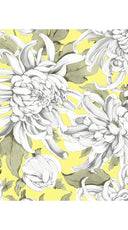 Audrey Dress #1 Shirt Collar 3/4 Sleeve Long Length Cotton Stretch (Chrysanthemum Flower Big)
