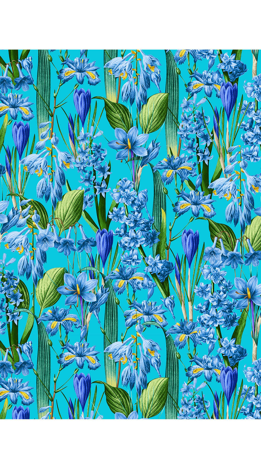 Aster Dress Shirt Collar 3/4 Sleeve Midi Plus Length Cotton Musola (Crocus Hyacinth Bright)