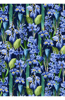 Aster Dress Shirt Collar 3/4 Sleeve Midi Plus Length Cotton Musola (Crocus Hyacinth Bright)