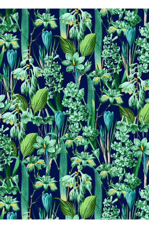 Aster Dress Shirt Collar 3/4 Sleeve Midi Plus Length Cotton Musola (Crocus Hyacinth Bright)