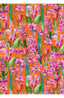 Aster Dress Shirt Collar 3/4 Sleeve Midi Plus Length Cotton Musola (Crocus Hyacinth Bright)