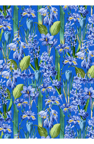 Aster Dress Shirt Collar 3/4 Sleeve Midi Plus Length Cotton Musola (Crocus Hyacinth Bright)