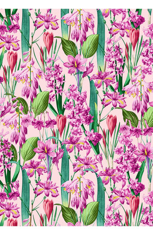 Audrey Dress #1 Shirt Collar 3/4 Sleeve Long Length Cotton Stretch (Crocus Hyacinth Pastel)