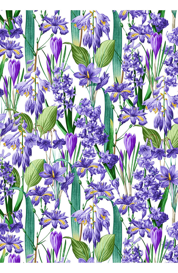 Audrey Dress #4 Shirt Collar 3/4 Sleeve Midi Length Cotton Musola (Crocus Hyacinth White)