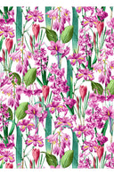 Audrey Dress #4 Shirt Collar 3/4 Sleeve Midi Length Cotton Musola (Crocus Hyacinth White)