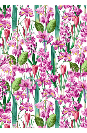 Aster Dress Boat Neck Sleeveless Midi Length Cotton Musola (Crocus Hyacinth White)