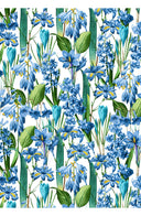 Audrey Dress #4 Shirt Collar 3/4 Sleeve Midi Length Cotton Musola (Crocus Hyacinth White)