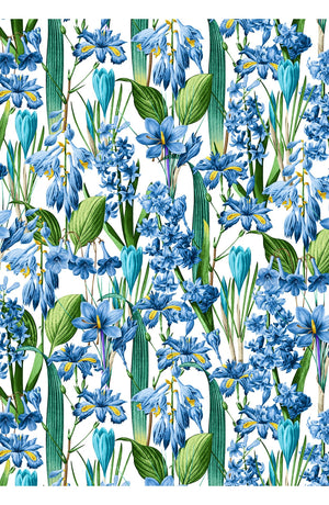 Audrey Dress #4 Shirt Collar 3/4 Sleeve Midi Length Cotton Musola (Crocus Hyacinth White)