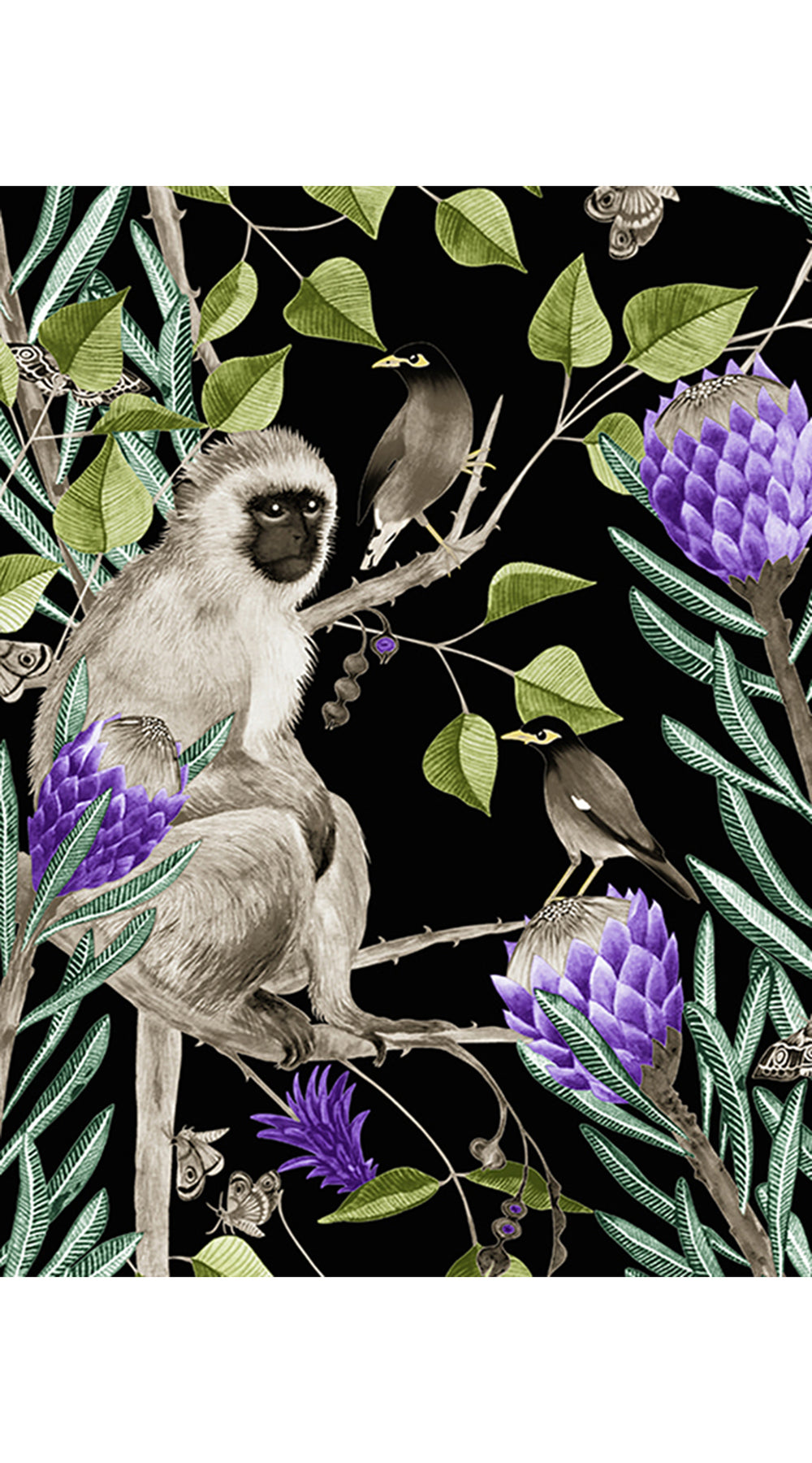 Aster Dress Shirt Collar 3/4 Sleeve Midi Length Cotton Musola (Eastern Monkey Black)