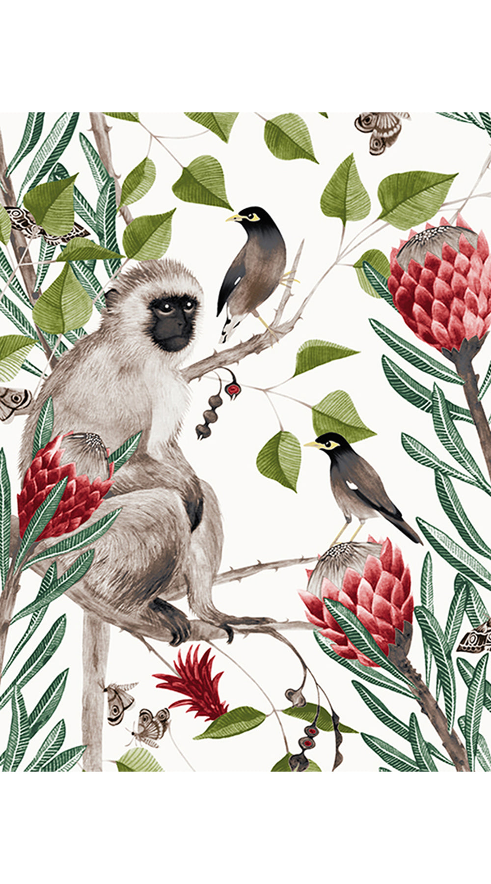 Audrey Dress #1 Shirt Collar 3/4 Sleeve Regular Length Cotton Stretch (Eastern Monkey White)