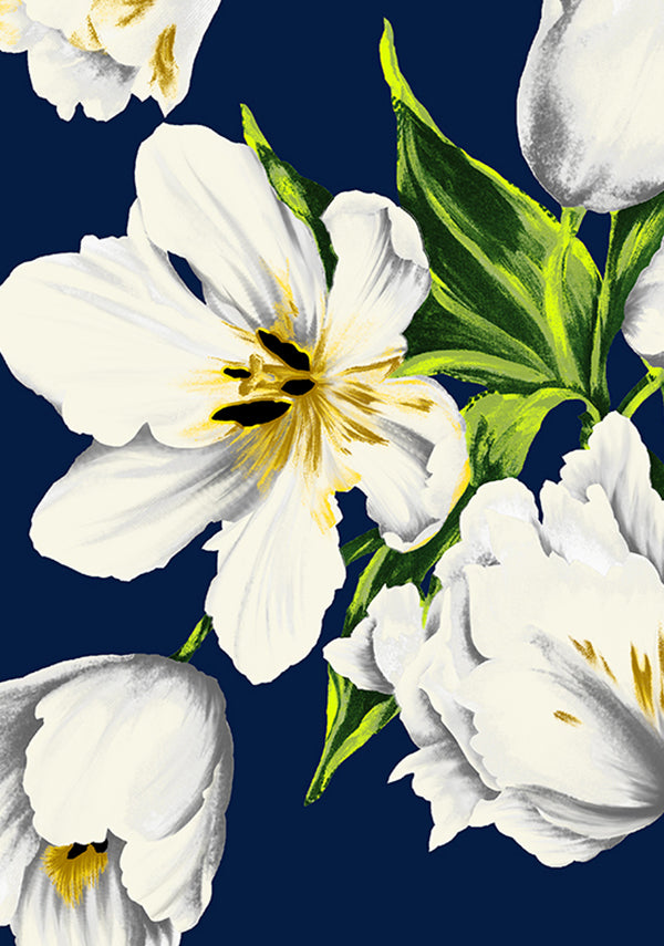 Emperor Tulip Bright_Indigo_CS_12y