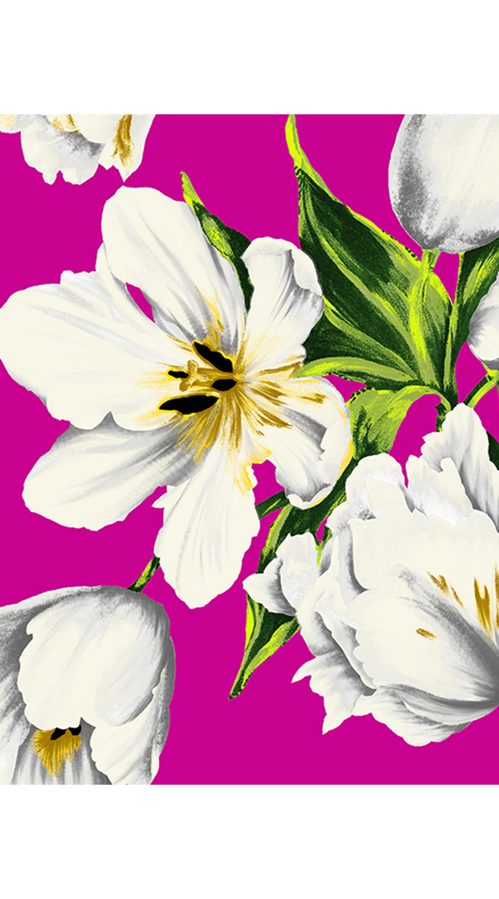 Audrey Dress #2 Shirt Collar 3/4 Sleeve Long Length Cotton Stretch (Emperor Tulip Bright)