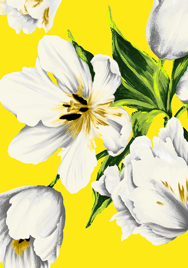 Emperor Tulip Bright_Yellow_CS_15y