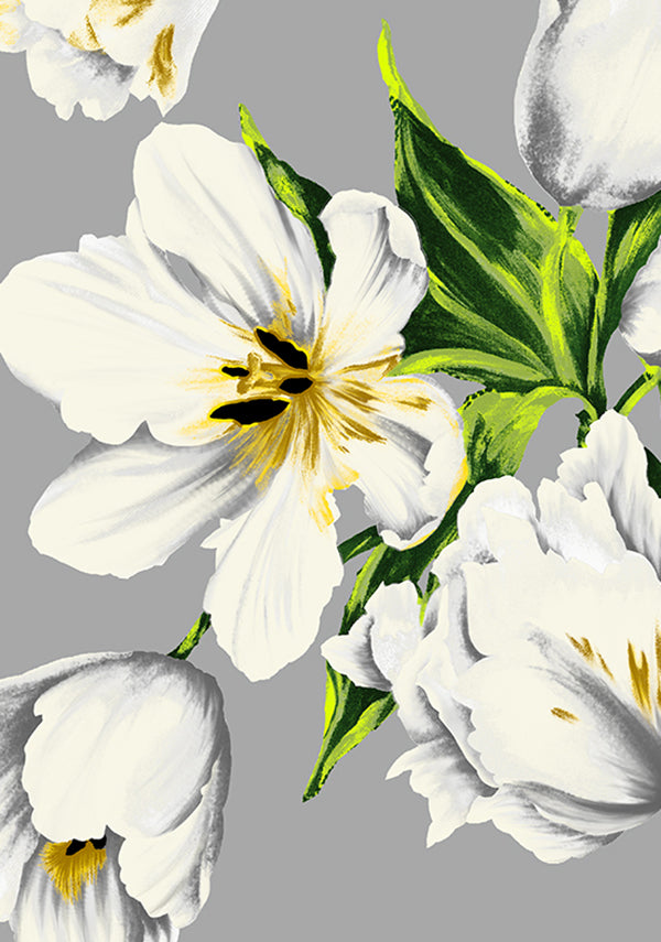 Emperor Tulip Pastel_Soft Grey_Cotton Musola_35y