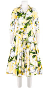 Abelia Dress Shirt Collar 3/4 Sleeve Midi Length Cotton Stretch (Emperor Tulip Pastel)