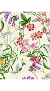 Aster Dress Shirt Collar 3/4 Sleeve Midi Length Cotton Musola (Fairy Tail Flower)
