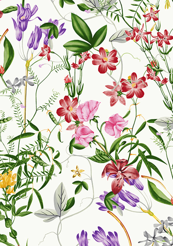 Fairy Tail Flower_White_Cotton Musola_67y
