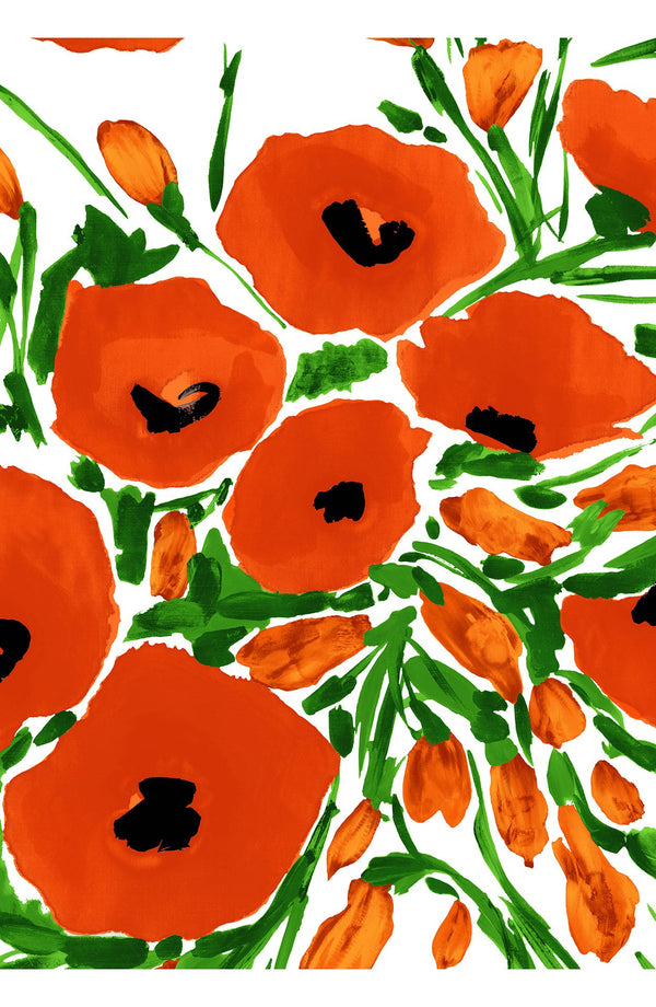 Audrey Dress #2 Shirt Collar 3/4 Sleeve Midi Length Cotton Stretch (Fiori Poppy White)