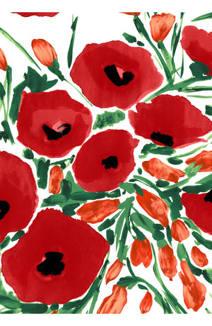 Audrey Dress #4 Shirt Collar 3/4 Sleeve Regular Length Cotton Stretch (Fiori Poppy White)