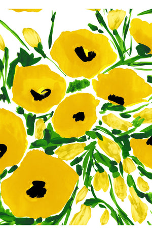 Aster Dress Shirt Collar 3/4 Sleeve Midi Length Cotton Musola (Fiori Poppy White)