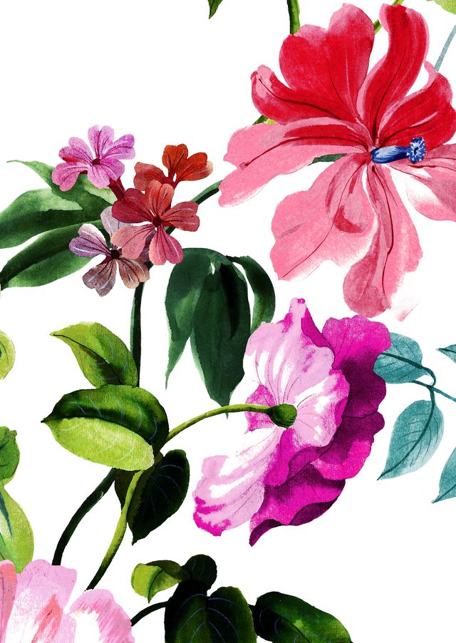 Katharine Shirt 3/4 Sleeve Cotton Stretch (Fiori Florance)