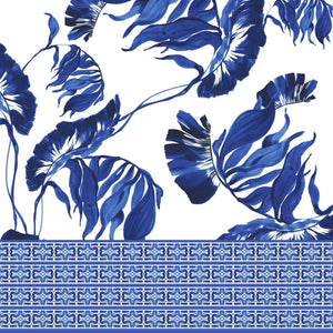 [Create Your Own] Cotton Musola (Foxtail Palm)