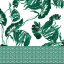 [Create Your Own] Cotton Stretch (Foxtail Palm)