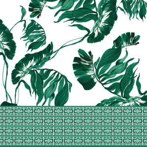 [Create Your Own] Cotton Stretch (Foxtail Palm)