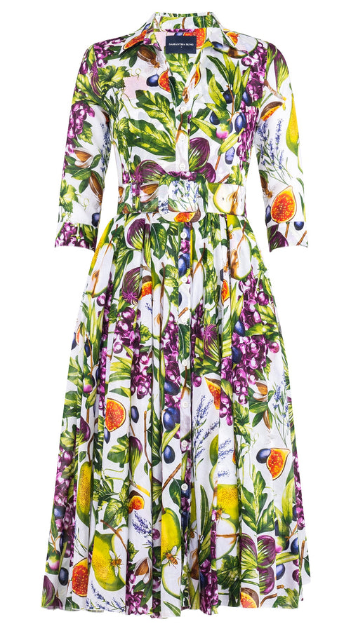 Aster Dress Shirt Collar 3/4 Sleeve Midi Length Cotton Musola (Fruit Farm)