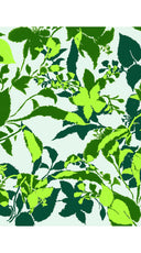 Aster Dress Shirt Collar 3/4 Sleeve Midi Length Cotton Musola (Genova Mono Flower Pastel)