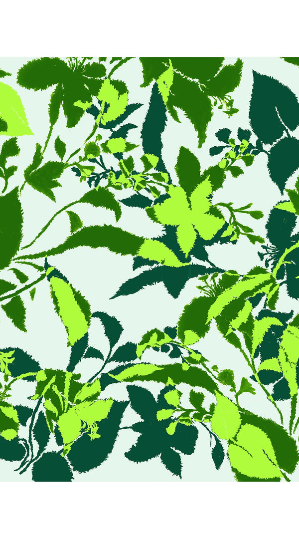 Aster Dress Shirt Collar 3/4 Sleeve Midi Length Cotton Musola (Genova Mono Flower Pastel)