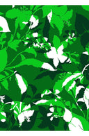 Audrey Dress #2 Shirt Collar 3/4 Sleeve Midi Length Cotton Stretch (Genova Mono Flower White)