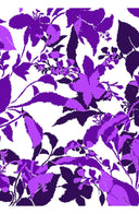 Aster Dress Shirt Collar 3/4 Sleeve Midi Length Cotton Musola (Genova Mono Flower White)