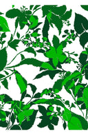 Audrey Dress #2 Shirt Collar 3/4 Sleeve Midi Length Cotton Stretch (Genova Mono Flower White)