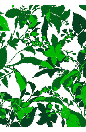 Aster Dress Shirt Collar 3/4 Sleeve Midi Length Cotton Musola (Genova Mono Flower White)