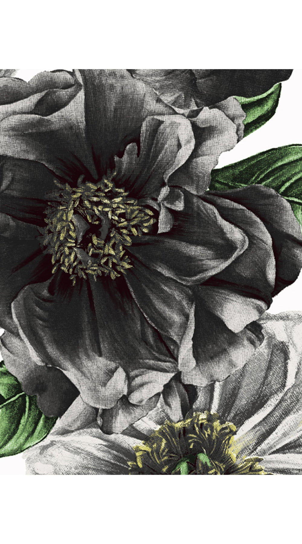 Sabrina Shirt Shirt Collar 3/4 Sleeve Cotton Stretch (Giant Poppy White)