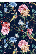 Aster Dress Shirt Collar 3/4 Sleeve Midi Length Cotton Musola (Heart Manor)