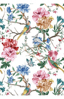 Aster Dress Shirt Collar 3/4 Sleeve Midi Length Cotton Musola (Heart Manor)