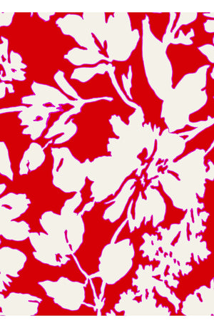 Laurent Dress Shirt Collar 3/4 Sleeve Long Length Cotton Stretch (Hemingway Flower Ground)